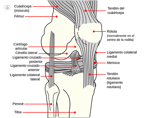 Condromalacia Rotuliana Causas S Ntomas Y Tratamiento Top Doctors