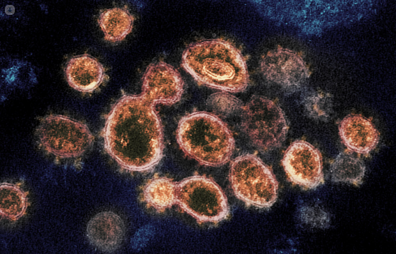 Estructura del coronavirus