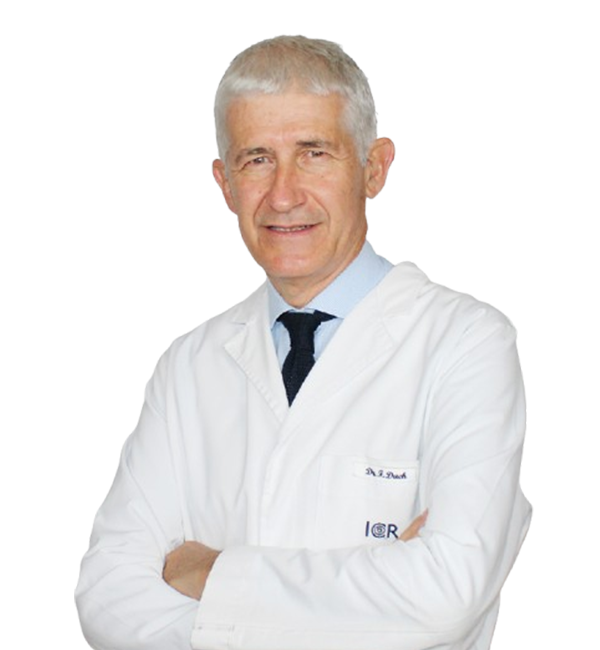 Francesc Duch Mestres imagen de perfil