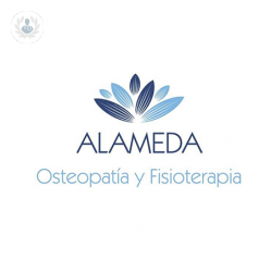 Clínica Alameda | Fisioterapia y Osteopatía undefined imagen de perfil